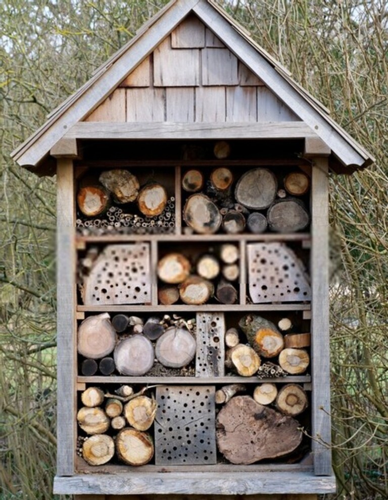 How To Attract Beneficial Insects To Your Garden? How To Attract Beneficial Insects To Your Garden?