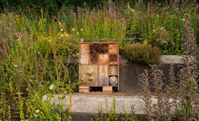 How To Attract Beneficial Insects To Your Garden?