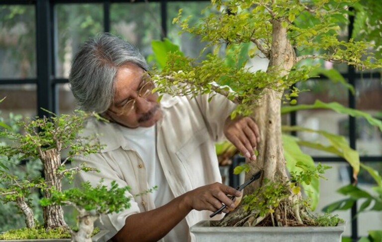 Top Safe Gardening Tips For Seniors