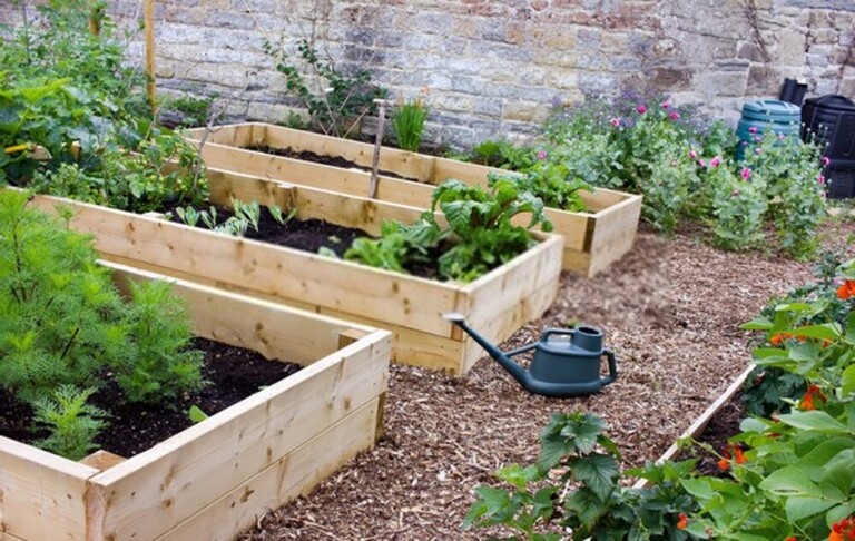 Top Safe Gardening Tips For Seniors