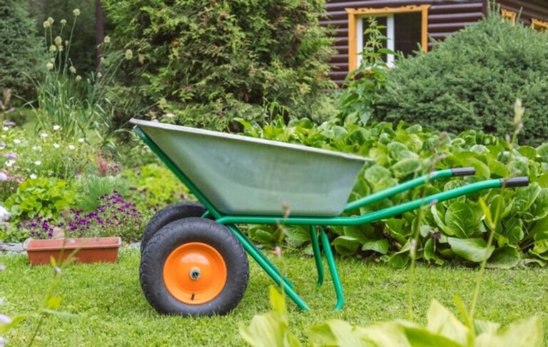 Top Safe Gardening Tips For Seniors Top Safe Gardening Tips For Seniors