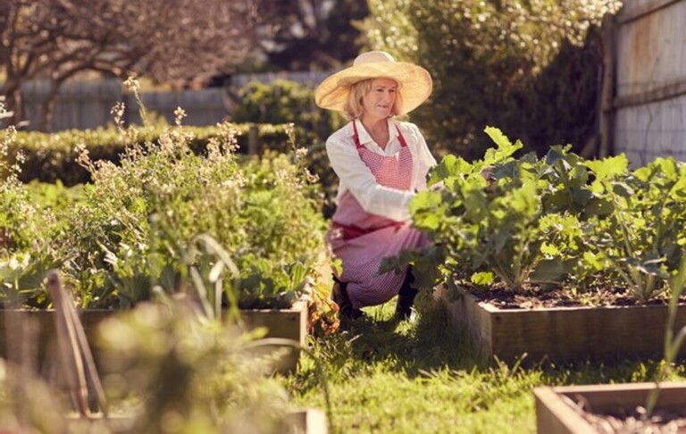 Top Safe Gardening Tips For Seniors Top Safe Gardening Tips For Seniors