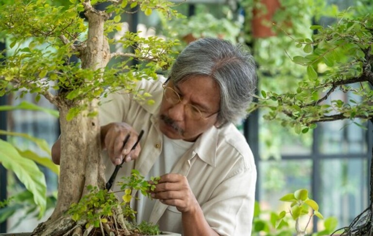 Top Safe Gardening Tips For Seniors Top Safe Gardening Tips For Seniors