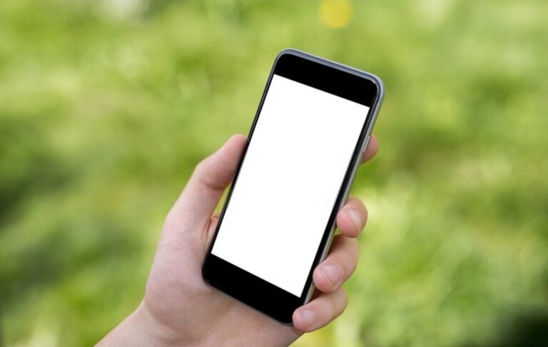 Top Safe Gardening Tips For Seniors