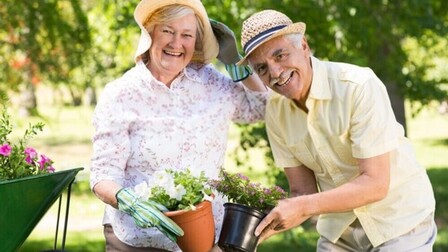 Top Safe Gardening Tips For Seniors