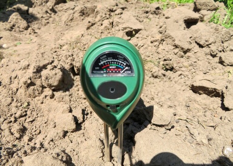 How To Test Soil For Nutrients?