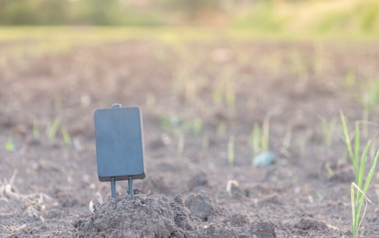 How To Test Soil For Nutrients?