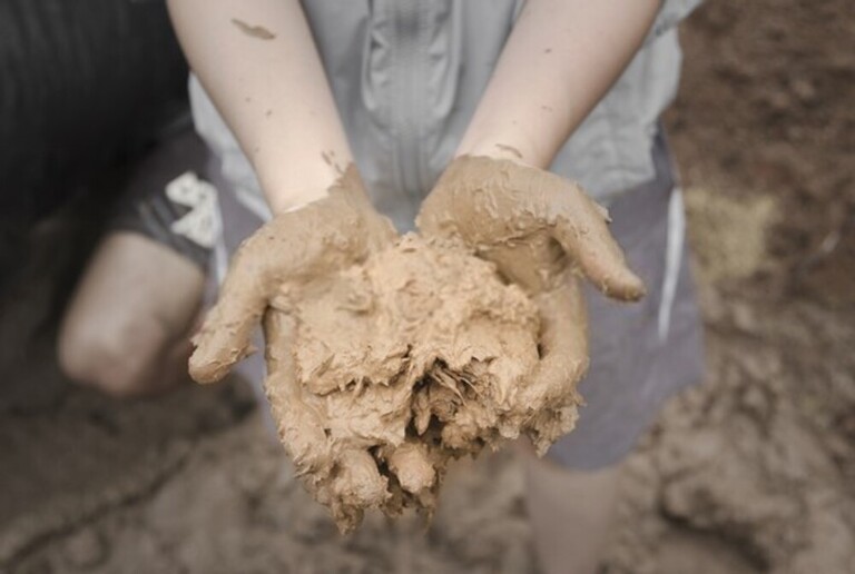 How To Test Soil For Nutrients? How To Test Soil For Nutrients?