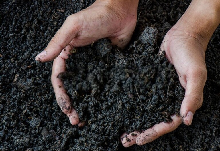 How To Test Soil For Nutrients? How To Test Soil For Nutrients?