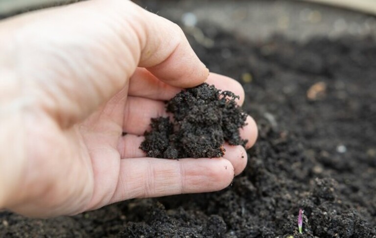 How To Test Soil For Nutrients?