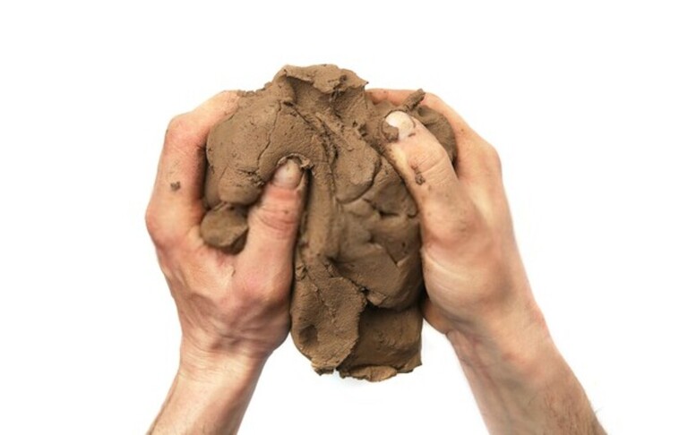 How To Test Soil For Nutrients? How To Test Soil For Nutrients?