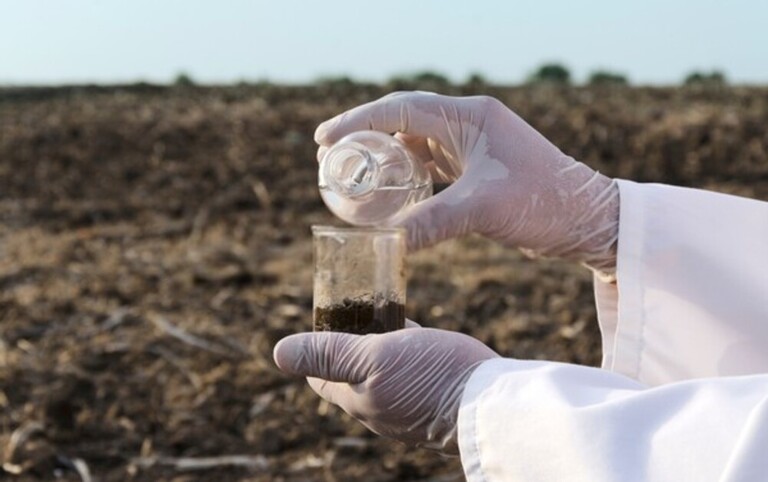 How To Test Soil For Nutrients? How To Test Soil For Nutrients?