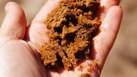 How To Test Soil For Nutrients?