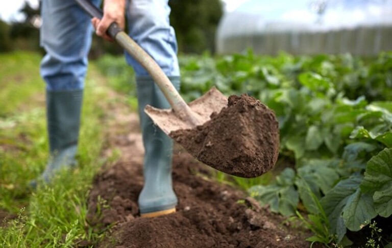 How To Prevent Gardening Injuries? How To Prevent Gardening Injuries?