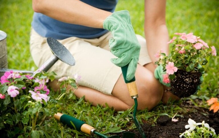 How To Prevent Gardening Injuries?