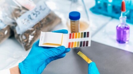 How To Organically Raise PH In Soil?