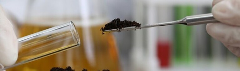 How To Organically Raise PH In Soil? How To Organically Raise PH In Soil?