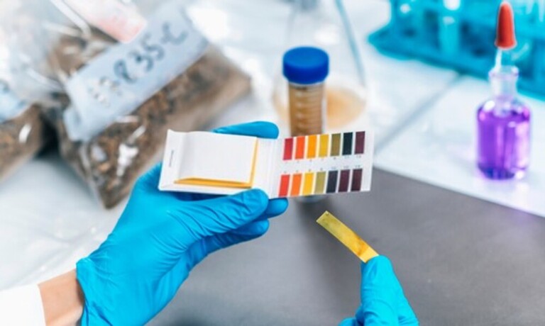 How To Organically Raise PH In Soil? How To Organically Raise PH In Soil?