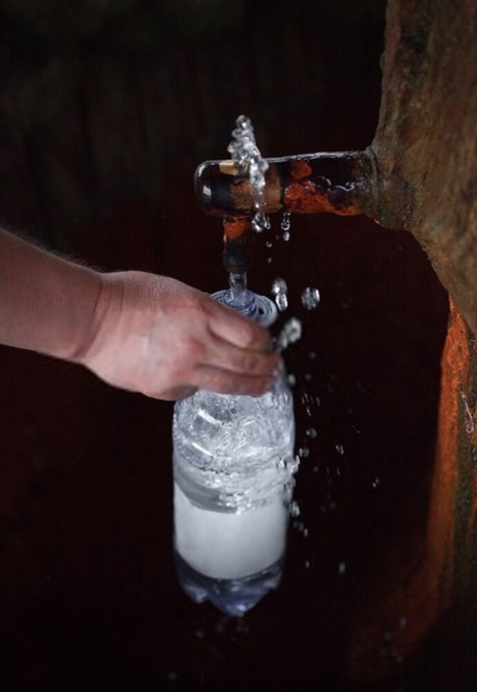 How To Organically Raise PH In Soil? How To Organically Raise PH In Soil?