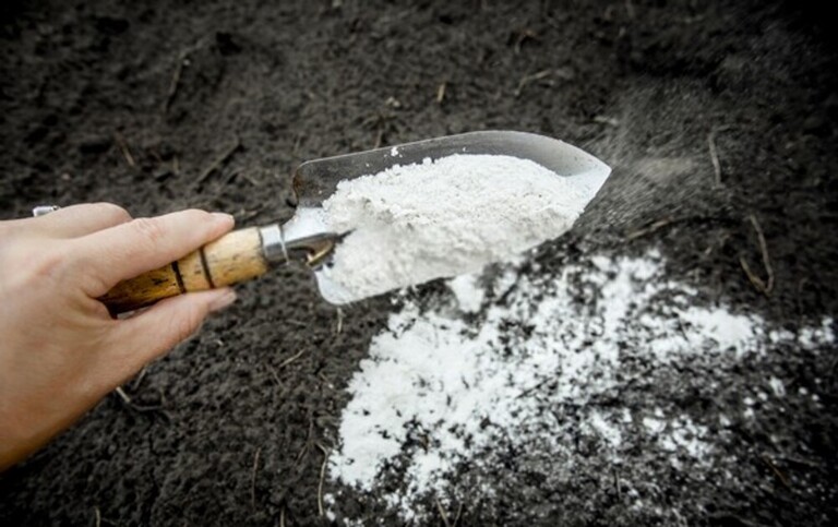 How To Organically Raise PH In Soil? How To Organically Raise PH In Soil?