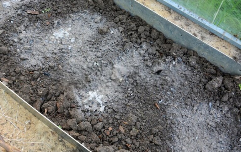 How To Organically Raise PH In Soil?