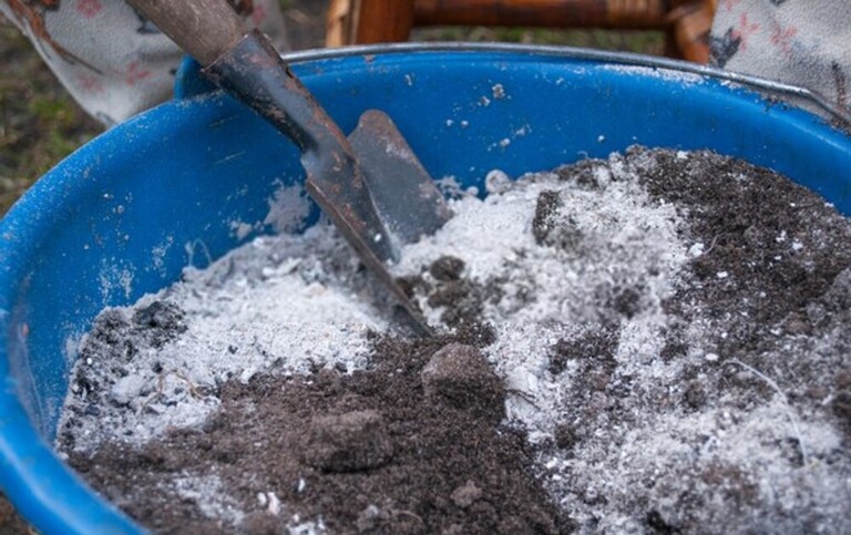 How To Organically Raise PH In Soil? How To Organically Raise PH In Soil?