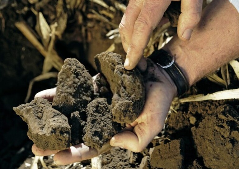 How Do You Fix Garden Drainage Problems? How Do You Fix Garden Drainage Problems?