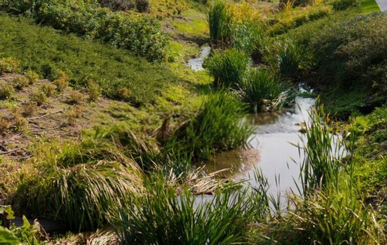 How Do You Fix Garden Drainage Problems? How Do You Fix Garden Drainage Problems?