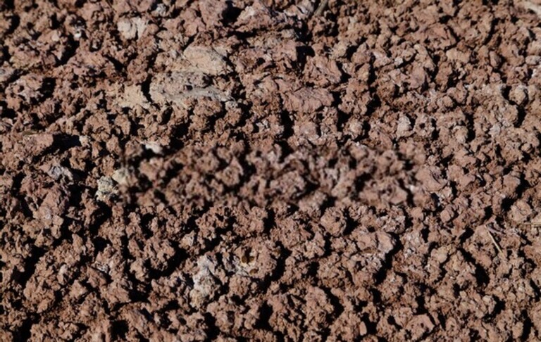 How Do You Fix Garden Drainage Problems? How Do You Fix Garden Drainage Problems?