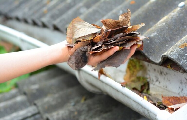 How Do You Fix Garden Drainage Problems? How Do You Fix Garden Drainage Problems?