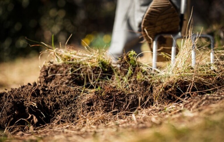How Do You Fix Garden Drainage Problems? How Do You Fix Garden Drainage Problems?