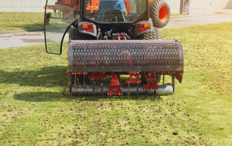 How To Get Rid Of Mushrooms In Your Yard Without Killing The Grass?