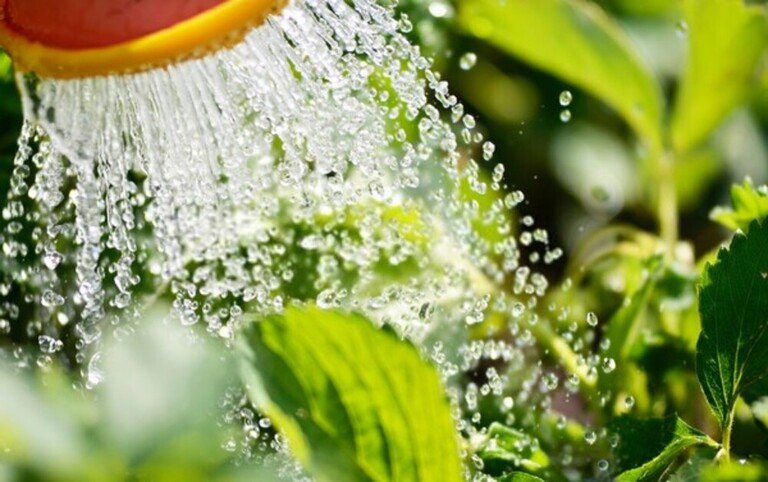 How To Keep A Small Pool Clean Without A Filter?