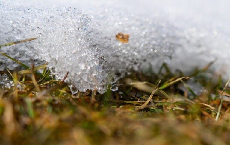 How To Avoid Ice Melt Damage To Your Lawn & Garden? How To Avoid Ice Melt Damage To Your Lawn & Garden?