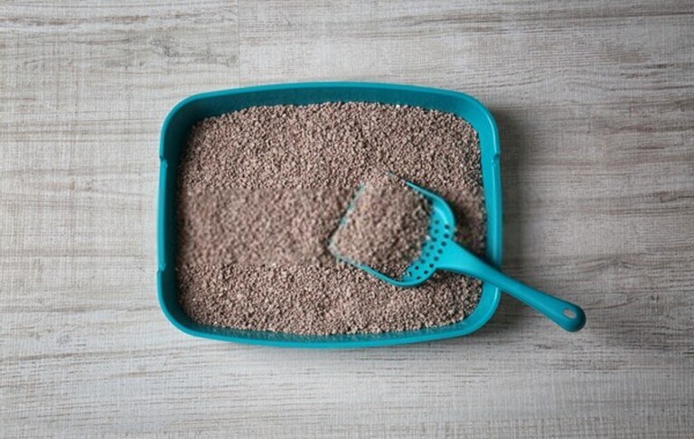 How To Avoid Ice Melt Damage To Your Lawn & Garden?