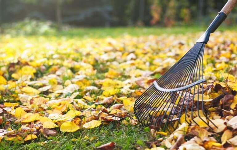 How To Give Tired Lawns An Autumn Boost? How To Give Tired Lawns An Autumn Boost?