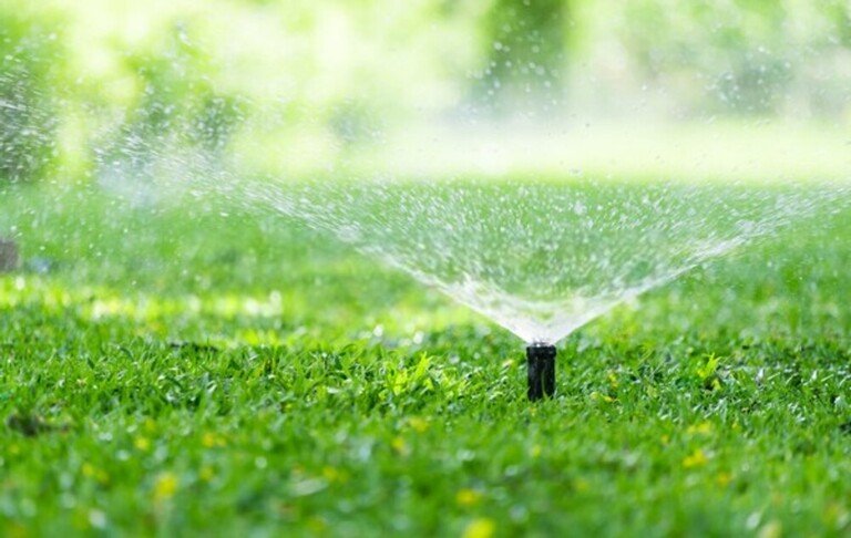 How To Give Tired Lawns An Autumn Boost?