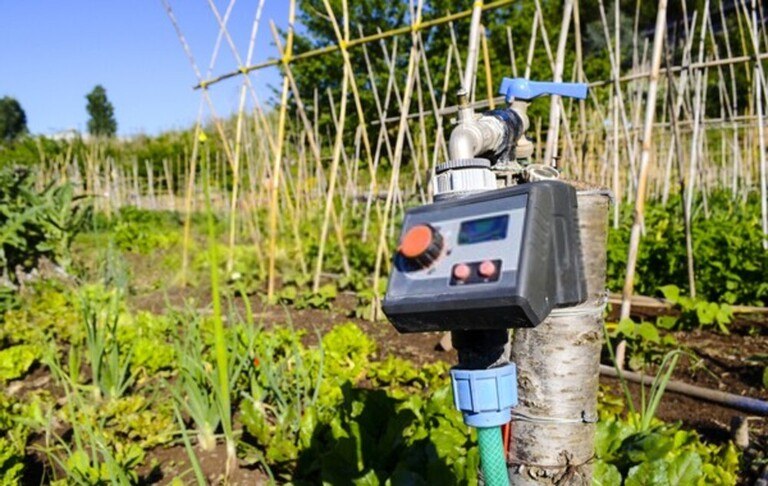 How To Give Tired Lawns An Autumn Boost?