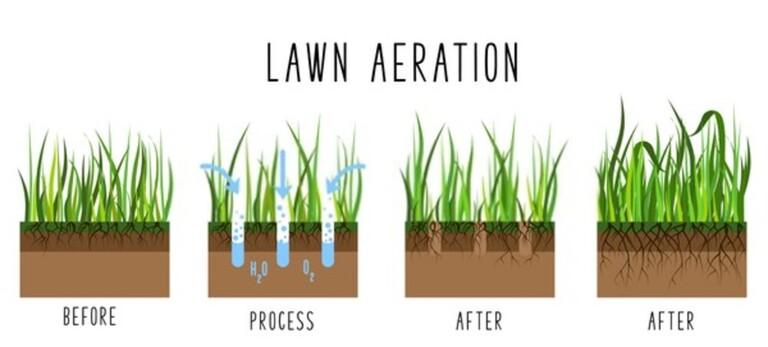 How To Give Tired Lawns An Autumn Boost? How To Give Tired Lawns An Autumn Boost?