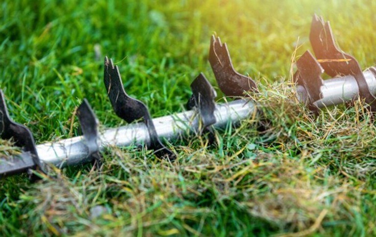 How To Give Tired Lawns An Autumn Boost?