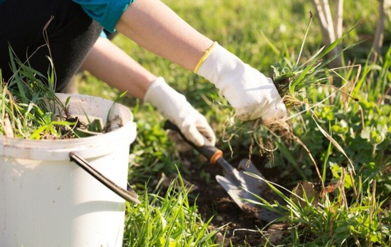 How To Give Tired Lawns An Autumn Boost? How To Give Tired Lawns An Autumn Boost?