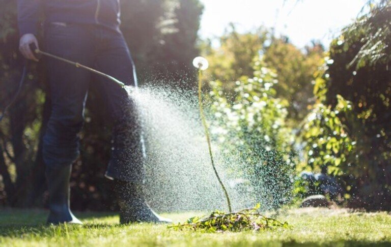 How To Give Tired Lawns An Autumn Boost?