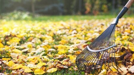 How To Give Tired Lawns An Autumn Boost?