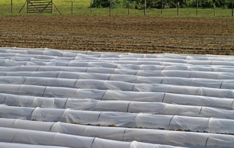 How To Use Floating Row Covers For Season Extensions?