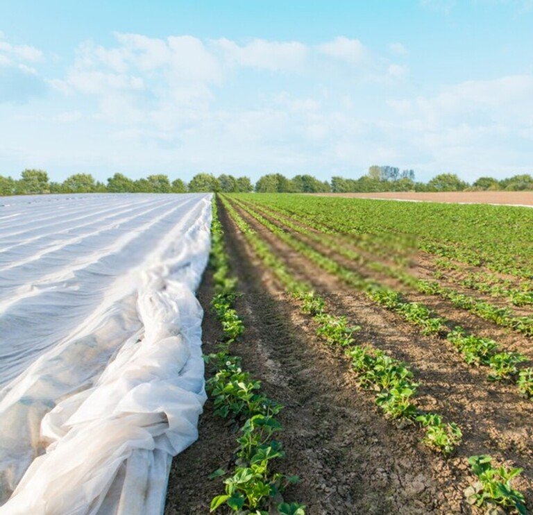 How To Use Floating Row Covers For Season Extensions? How To Use Floating Row Covers For Season Extensions?