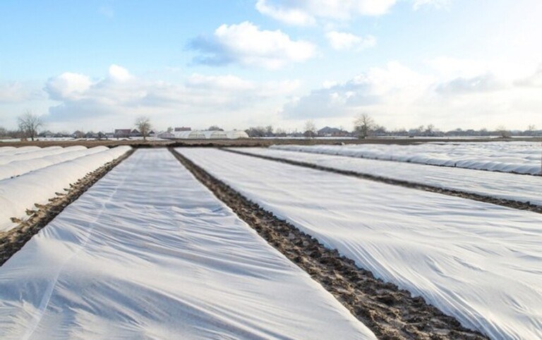 How To Use Floating Row Covers For Season Extensions?