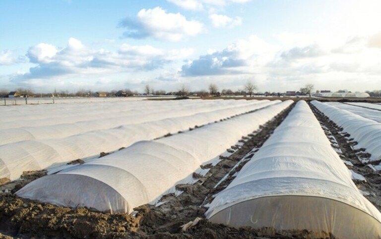 How To Use Floating Row Covers For Season Extensions? How To Use Floating Row Covers For Season Extensions?