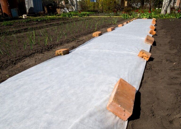 How To Use Floating Row Covers For Season Extensions?