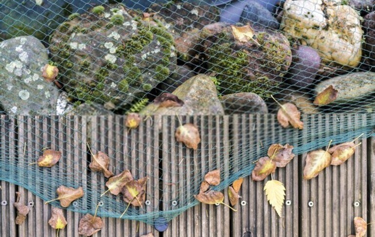 How To Keep Your Koi Fish Pond Safe From Predators? How To Keep Your Koi Fish Pond Safe From Predators?