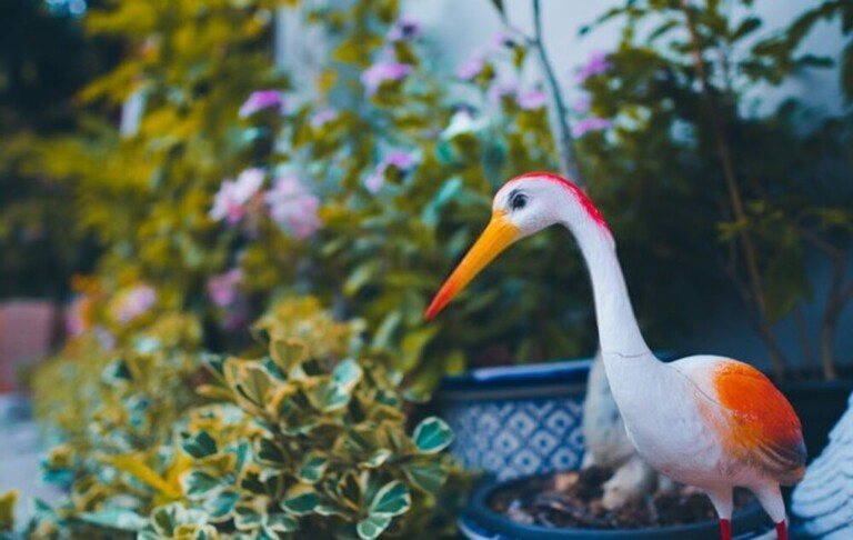 How To Keep Your Koi Fish Pond Safe From Predators? How To Keep Your Koi Fish Pond Safe From Predators?